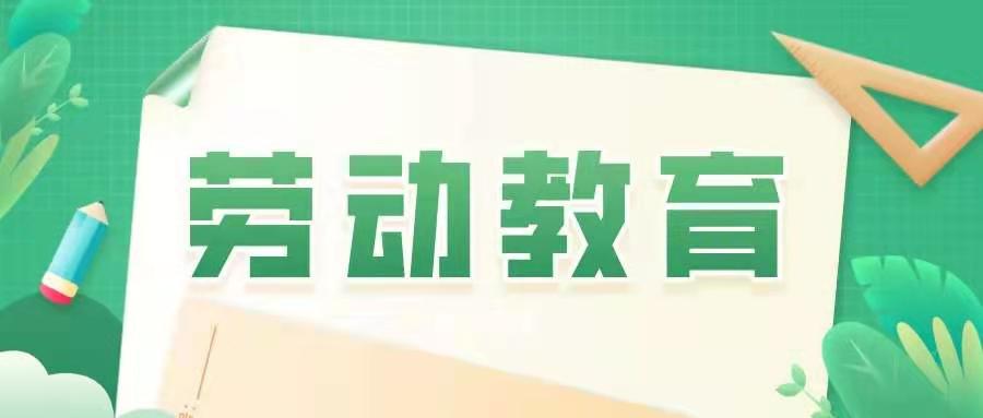 劳动砥砺心智，实践促进成长