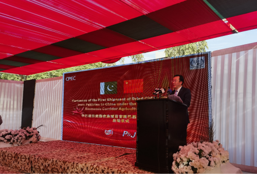驻卡拉奇总领事杨云东出席首批巴基斯坦输华干辣椒启运仪式