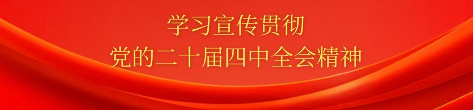 学习宣传贯彻党的二十届四中全会精神