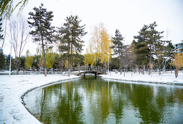 6377208160570255033381821 (1).jpg