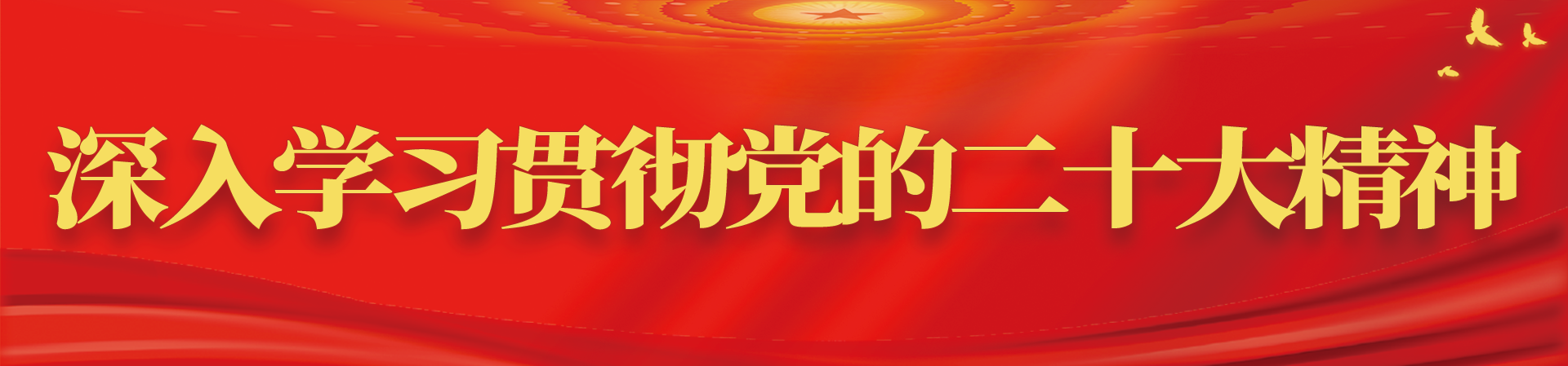 学习贯彻党的二十大精神
