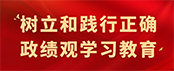 树立和践行正确 政绩观学习教育