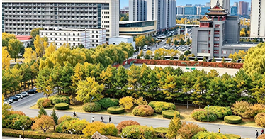 鸿德秋景