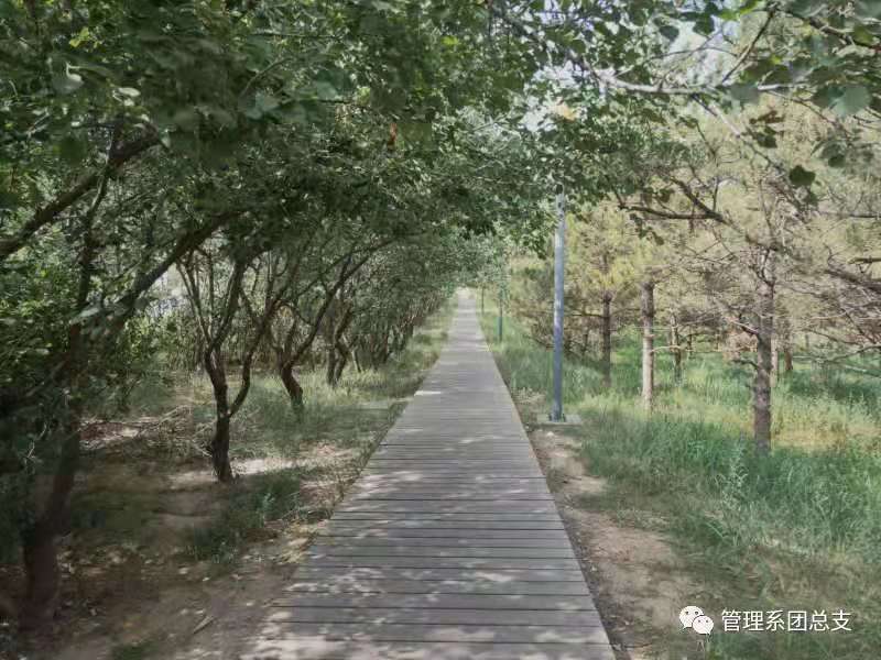 微信图片_20210525210600.jpg 微信图片_20210525210600.jpg