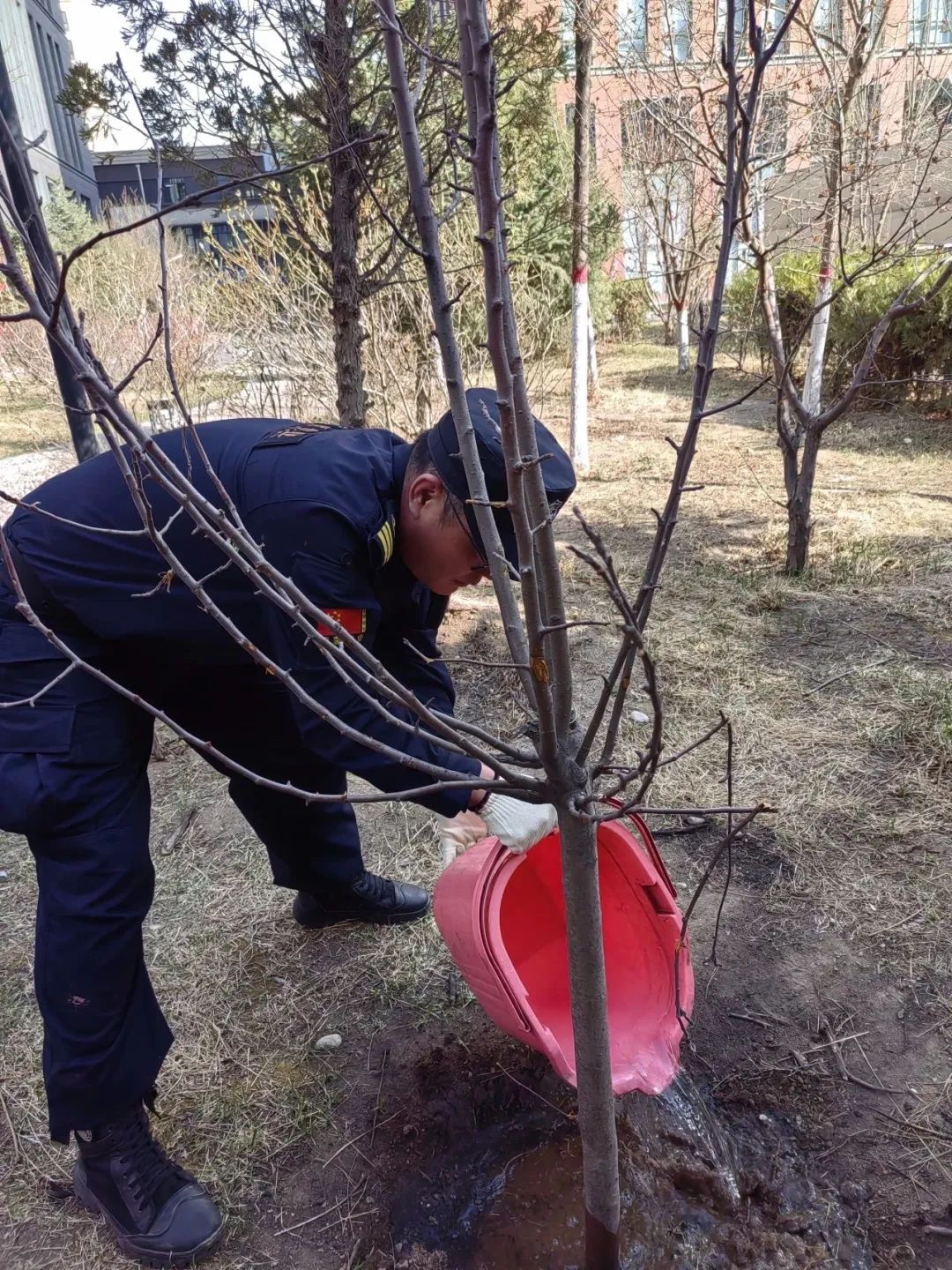 微信图片_20250515195901.jpg 微信图片_20250515195901.jpg