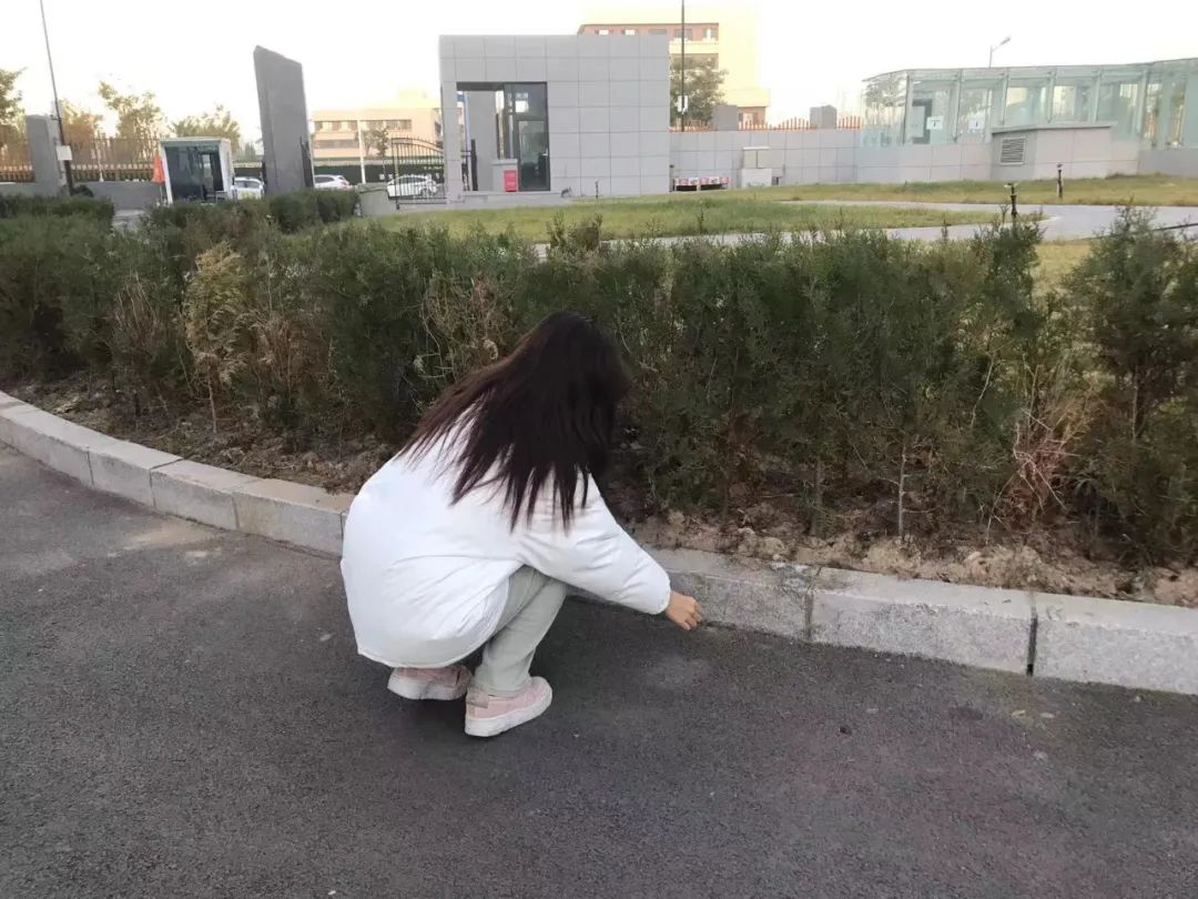 微信图片_20250515201040.jpg 微信图片_20250515201040.jpg