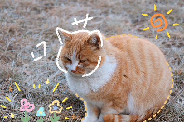 内容图12.png 内容图12.png