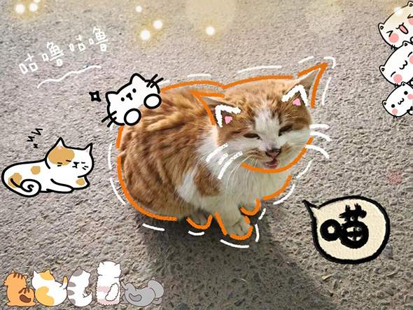 内容图14.jpg 内容图14.jpg