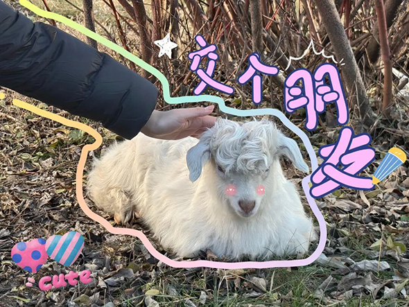 内容图15.jpg 内容图15.jpg