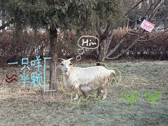 内容图16.jpg 内容图16.jpg